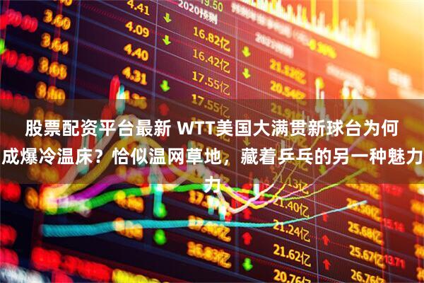 股票配资平台最新 WTT美国大满贯新球台为何成爆冷温床？恰似温网草地，藏着乒乓的另一种魅力